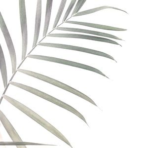 Meet your Posher, Ciara